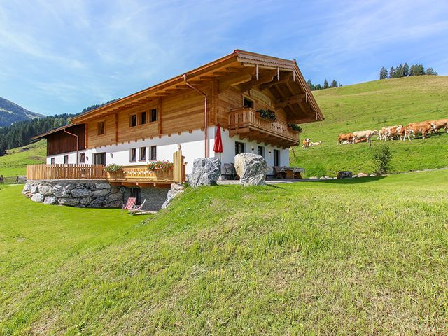 Almhütte Handleralm in Maria Alm
