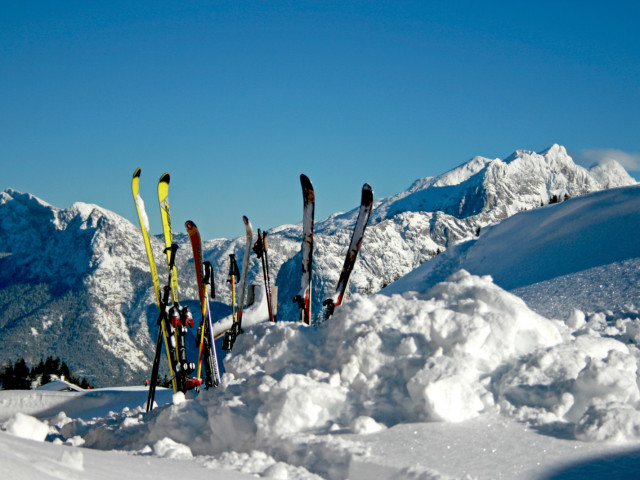 Almhütte Würmbachkaser