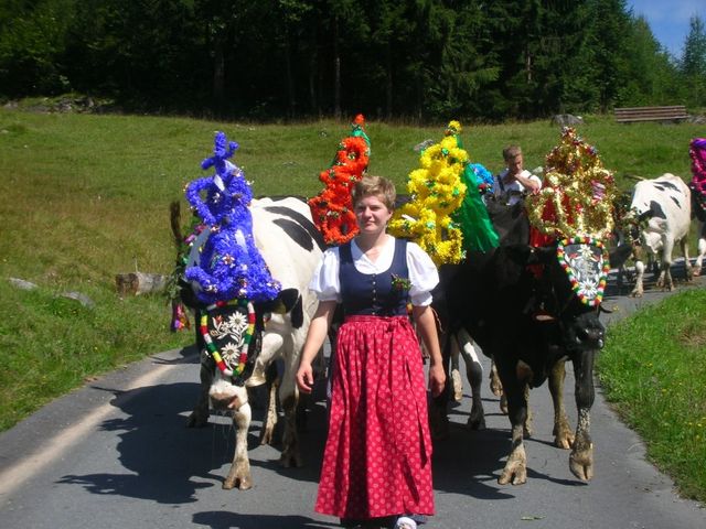 Almhütte Müllergut