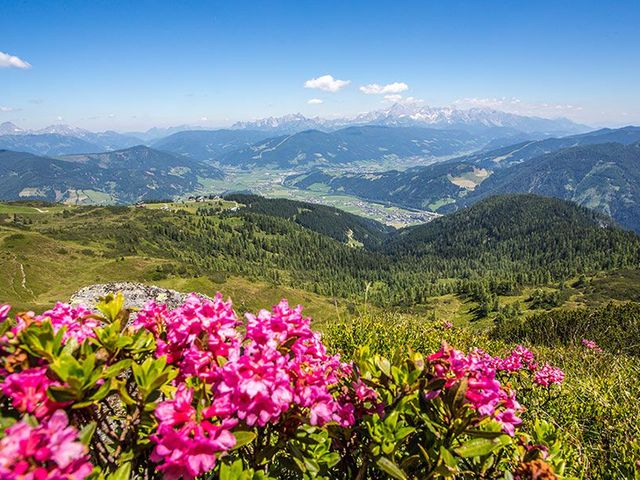 Selbstversorgerhütte