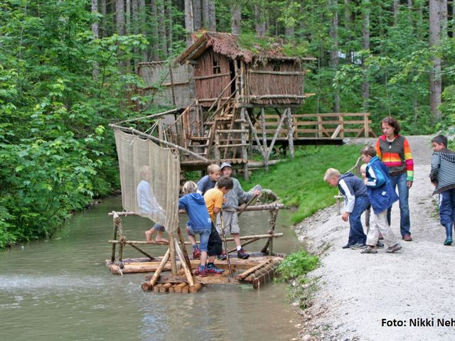 Selbstversorger-Almhütte in Gosau  GOS-OOE