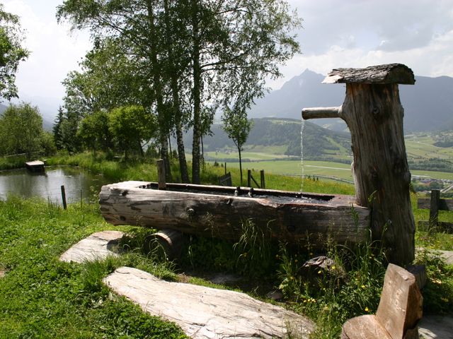 Urige Almhütte in Niederöblarn HIR-STM